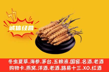 达州回收冬虫夏草